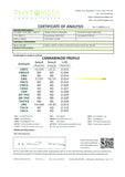 214384947.webp