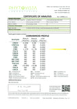 214385028.webp