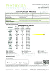 214399119.webp